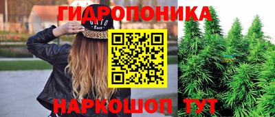 крисы Гусев
