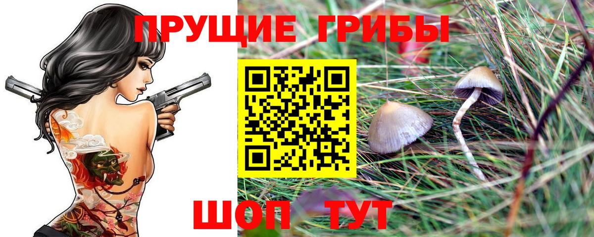 Галлюциногенные грибы Magic Shrooms Новый Уренгой