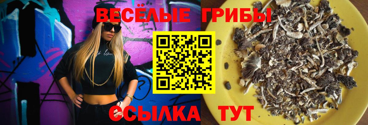 Псилоцибиновые грибы Psilocybine cubensis  Вход с VPN  Новый Уренгой 